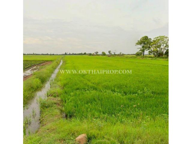 ที่ดินถมแล้ว คลอง 23 ใกล้อบต.ศีรษะกระบือ ถ.รังสิต-นครนายก องครักษ์ นครนายก