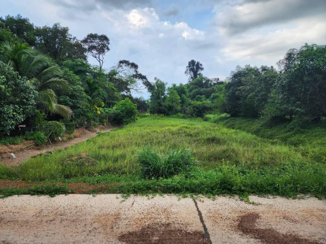 L1168 ขายที่ดินใกล้นิคมฯ304  17 ไร่ ศรีมหาโพธิ ปราจีนบุรี