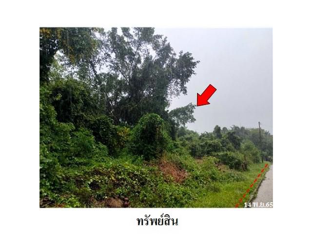 ขายที่ดินโครงการ ชวนชื่นนครินทร์ ต.น้ำน้อย อ.หาดใหญ่ สงขลา