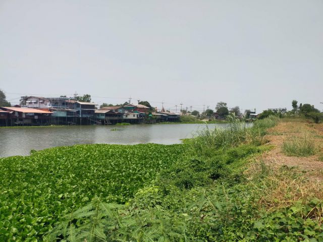 ขายที่ดินติดแม่น้ำท่าจีน6ไร่ เหมา9.5ล้าน.หน้าติดถนนคอนกรีต ท้ายติดแม่น้ำท่าจีน อ.สองพี่น้อง จ.สุพรรฯเหมาะพักอาศัย/บ้านพักผ่อนริมน้ำ