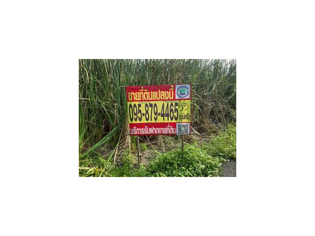 ขายถูกที่สุดที่ดินทำเลดี 53 ตารางวา ติดถนนลาดยางสาธารณะ ซอย ร่มโพธิ์ทอง 14 อ.บางบัวทอง จ.นนทบุรี