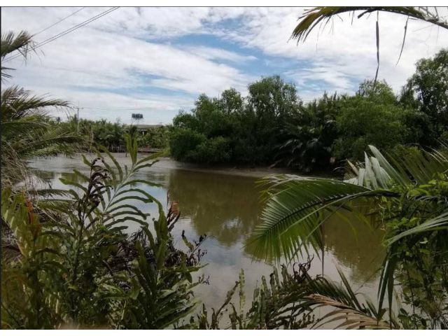 | SALE !!! ขายที่ดินติดคลองเมืองสมุทรสงคราม ลาดใหญ่ เนื้อที่ 3 ไร่เศษ ขายเหมา 10 ล้าน