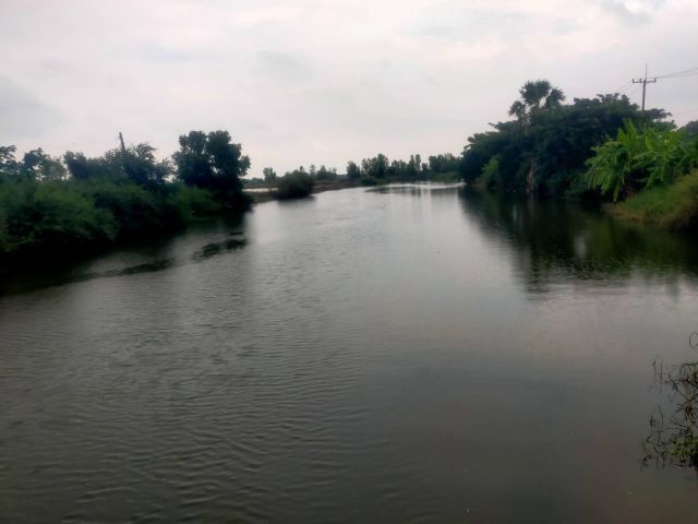 ขายที่ดิน100-ไร่ ไร่ละ450000-ติดถนนหินคลุก+คลองใหญ่ อ.บางเลน จ.นครปฐม.เหมาะทำฟาร์มกุ้งปลาไก่เป็ด.ใก้ลถนน3231/321/346/ตลาดบางหลวง