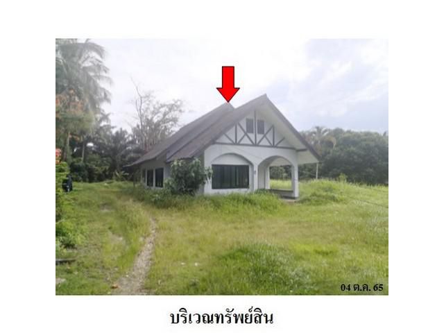 ขายบ้านเดี่ยว ต.ม่วงกลวง อำเภอ กะเปอร์ จังหวัด ระนอง