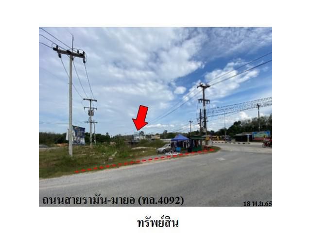 ขายที่ดินว่างเปล่า ต.กายูบอเกาะ อ.รามัน จ.ยะลา