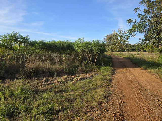 ขายที่ดินเกษตร มีแหล่งน้ำพร้อม 50-2-50 ไร่ นส.3ข