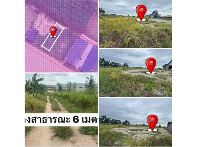 #เสนอขายที่ดินติดอมตะซิตี้ #เสนอขายที่ดินนิคมพัฒนารระยอง ที่ดิน 100 ตารางวา อ.นิคมพัฒนา จ.ระยอง ผังสีม่วงลายซอย 13