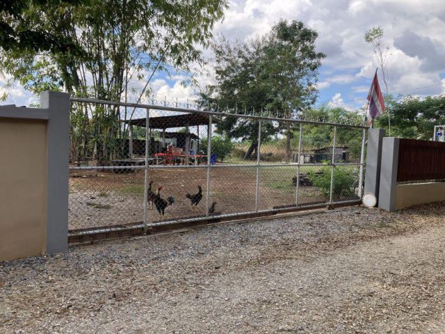 ขาย ที่สวน 200 ตารางวา บ้านกอกชุม พระบาท เมืองลำปาง