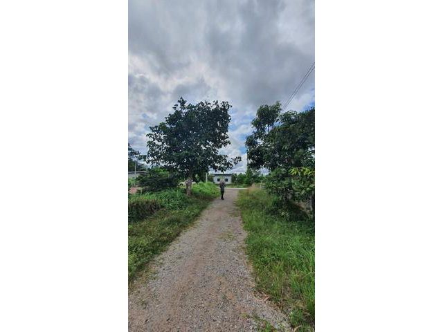 ขายที่ดินเปล่าพุนพิน เขาหัวควาย ทำเลดี เข้าออกได้ 2 เส้นทาง