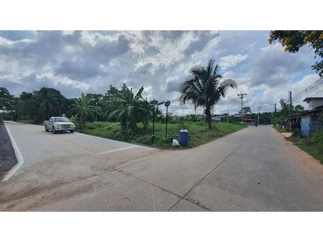 ขายที่ดินเปล่าพุนพิน เขาหัวควาย ทำเลดี เข้าออกได้ 2 เส้นทาง