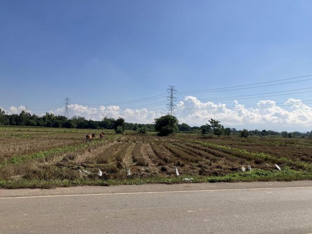 ขายที่ติดถนน สายป่าตันแม่ปรุง ถัดจากร้าน You Love Me Lampang แม่ทะ