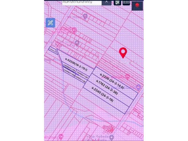 ขายที่ดินนิคมพัฒนาระยอง เนื้อที่  109-3-52.9 ไร่  พื้นที่ม่วงลาย