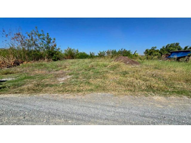 ร้อนเงินขายต่ำกว่าประเมินที่ดิน 2 ไร่ครึ่ง ทำเลดี ถนน นบ.3015 ต.ไทรใหญ่ อ.ไทรน้อย จ.นนทบุรี