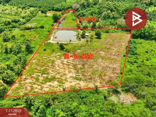 ขายที่ดินพร้อมสวนทุเรียน เนื้อที่ 16 ไร่ 1 งาน 18.9 ตร.วา