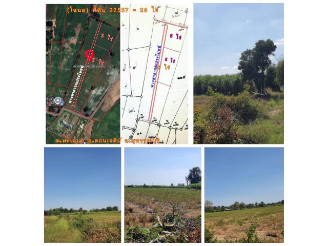 (โฉนด) ที่ดินแบ่ง 5-10 ไร่ๆละ 190,000 บ. (เหมาะทำไร่นา สวนผสม ทำการเกษตร) ทางถนนหินคลุก 8 ม. ไฟฟ้า น้ำประปา ต.ทะเลบก อ.ดอนเจดีย์ จ.สุพรรณบุรี