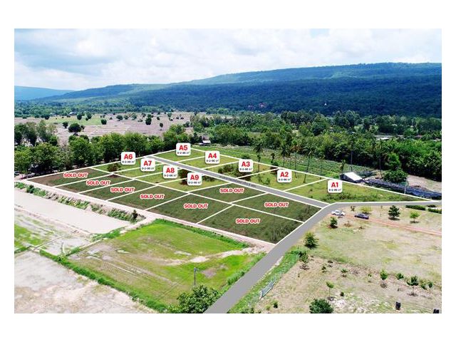 ที่ดินสวย วิวเขาวังทอง 200 ตร.วา ราคาดีที่สุด 299,000 บาท 097 446 4446