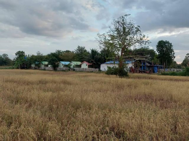 ที่นา 3 ไร่