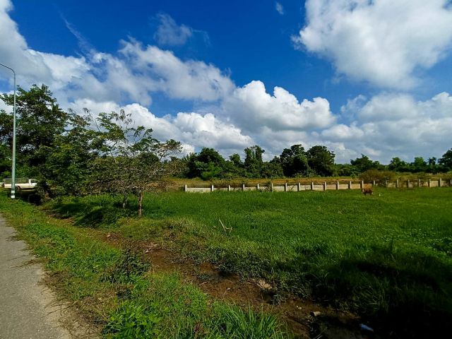 ที่ดินสายบ้านกลาง ติดถนนสายหลัก