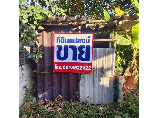 ขายที่ดิน 100 ตร.วา 2 แปลง อ.เมือง ระยอง ห่างร้าน วรรณ 900 เมตร