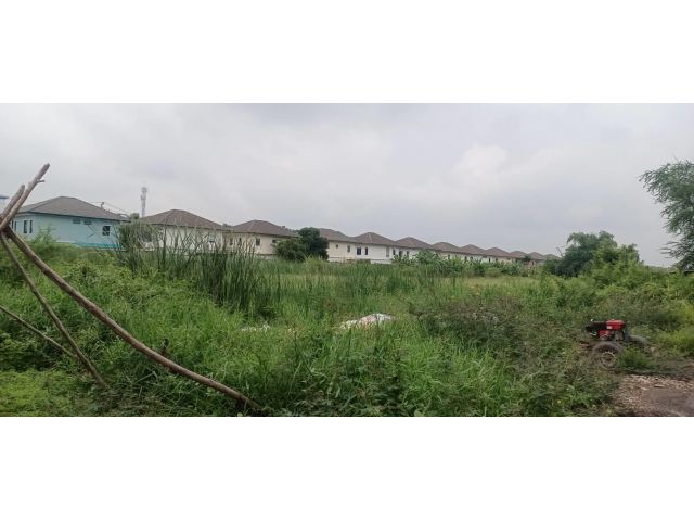 ขายที่ดิน 39 ไร่ คลองสี่ ถนนพระองค์เจ้าสาย ใกล้ตลาดลาดสวาย อ.ลำลูกกา จ.ปทุมธานี