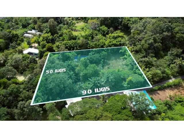 #ขายที่ดินแม่ริม​ ใกล้ทางขึ้นโป่งแยง ใกล้สวนสัตว์แมลงสยาม เนื้อที่​ 3-2-41 ไร่​