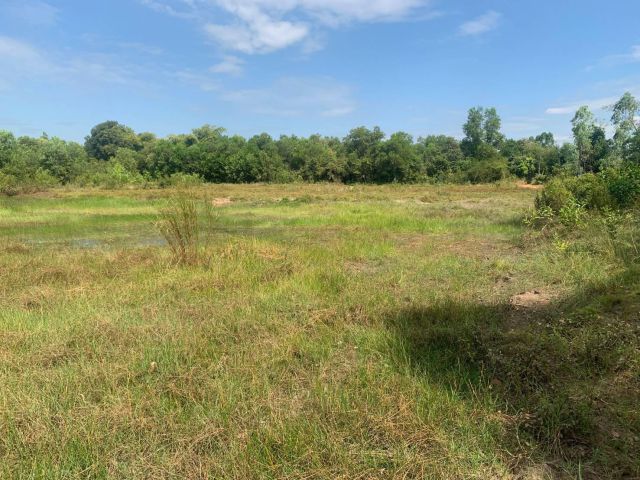 ขายที่ดิน 9 ไร่ ติดถนนสองด้าน ต.ประจันตคาม อ.ประจันตคาม จ.ปราจีนบุรี