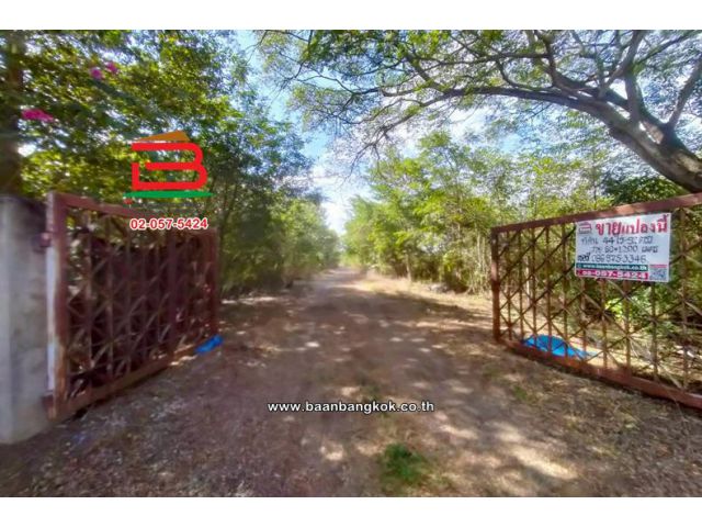 ที่ดินเปล่า เนื้อที่ 44-0-96 ไร่ หนองเสือ คลอง 11, ใกล้วัดป่าคลอง11 ถนนรังสิต-นครนายก ตำบลบึงกาสาม อำเภอหนองเสือ ปทุม