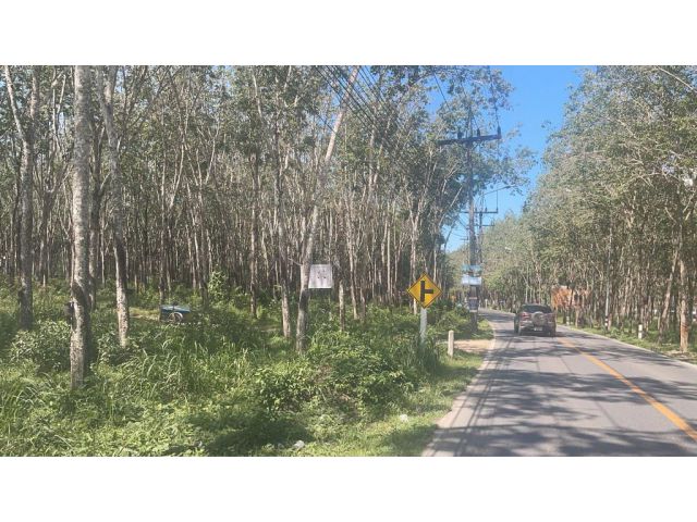 | Land for SALE ขายที่ดินบางโจ - บ้านยา เนื้อที่ 8 ไร่เศษ ขาย 14.5 ล้านต่อไร่