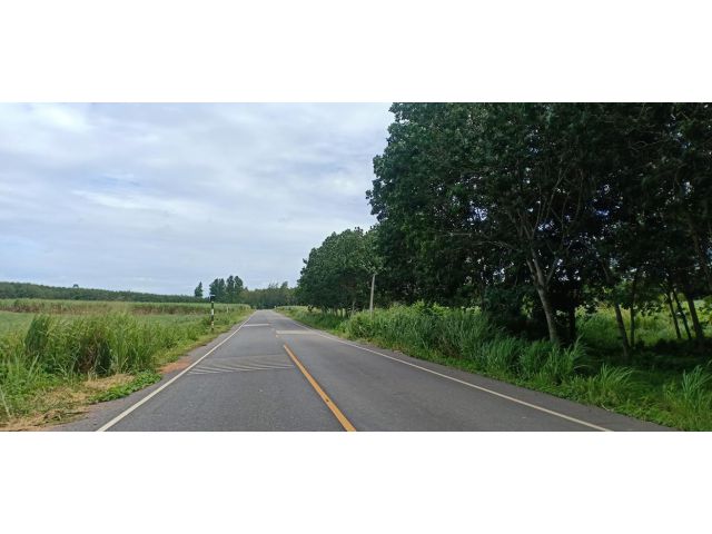 ขายที่ดิน 275 ไร่ ใกล้นิคมอุตสาหกรรมโรจนะหนองใหญ่ ใกล้ถนน 344 อ.หนองใหญ่ จ.ชลบุรี