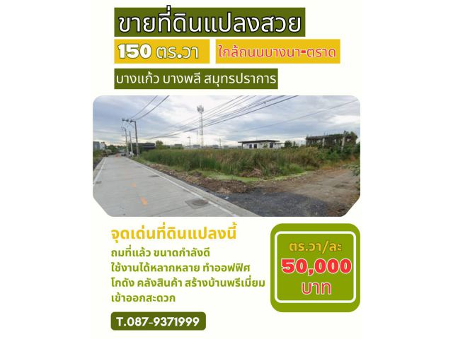 ขายด่วนที่ดิน 150 ตร.วา ทำเลบางแก้ว บางพลี สมุทรปราการ ที่ดินแปลงสวย เข้า–ออกสะดวก ใกล้เมกาบางนา