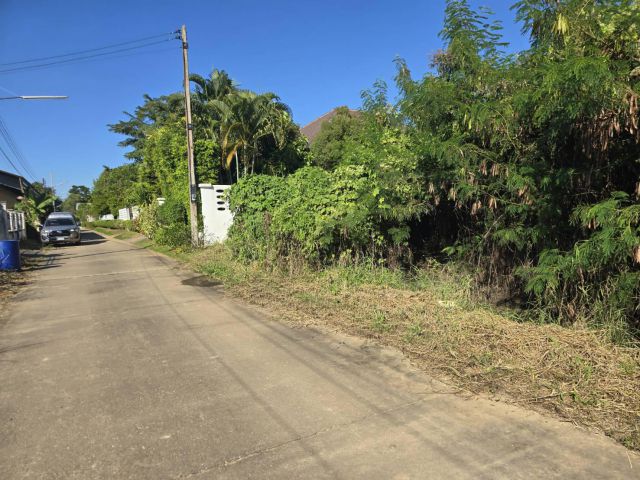 ขายที่ดินซอยประภัสสร ใกล้โลตัส รูปสี่เหลี่ยม 88 ตารางวา