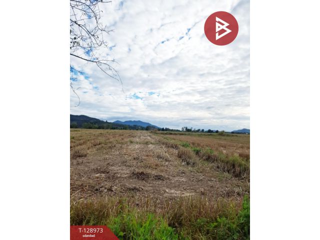 ขายที่ดิน เนื้อที่ 4 ไร่ 77.3 ตร.วา เทิง เชียงราย