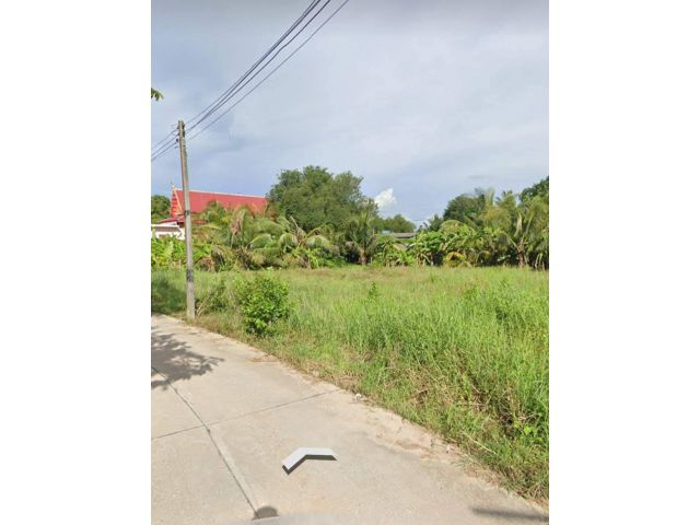 L1174 ขายที่ดิน 8 ไร่ พนัสนิคม ชลบุรี