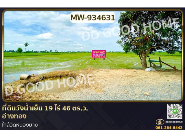 AW-934631 ที่ดินวังน้ำเย็น 19 ไร่ 46 ตร.ว. อ่างทอง ใกล้วัดหนองยาง