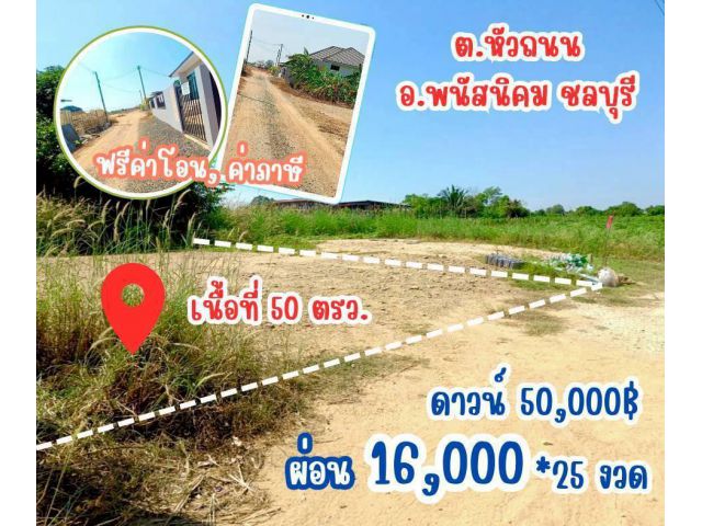 ที่ดิน พนัสนิคม ชลบุรี