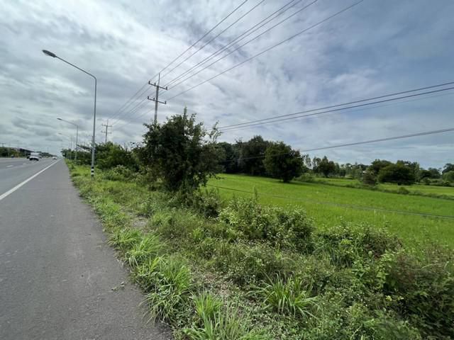 ขายที่ดินนา3-1-46ไร่ 10ล. ถนน4เลน ต.หนองแก้ว อ.เมือง ศรีสะเกษ