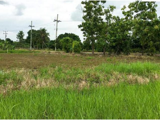 ขายที่ดินต้นธงลำพูน แปลงมุมติดถนน มีลำน้ำชลประทานใช้ฟรีตลอดปี