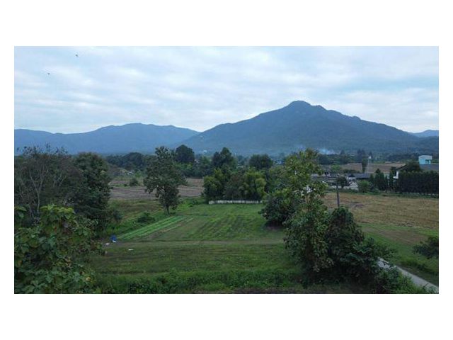 ขายที่ดินแปลงสวยติดถนนคอนกรีตสองเลน การเดินทางสะดวกสบาย อยู่ในชุมชน ใกล้โรงพยาบาลแม่ออน อำเภอแม่ออน จังหวัดเชียงใหม่ แวด