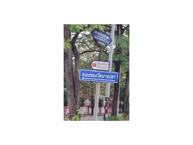 Vายถูกที่ดินถนนบางปลา 445 ตารางวา ติดถนนคอนกรีตสาธารณะ เทศบาลบางปลา ซอย 15,17 เมืองสมุทรสาคร