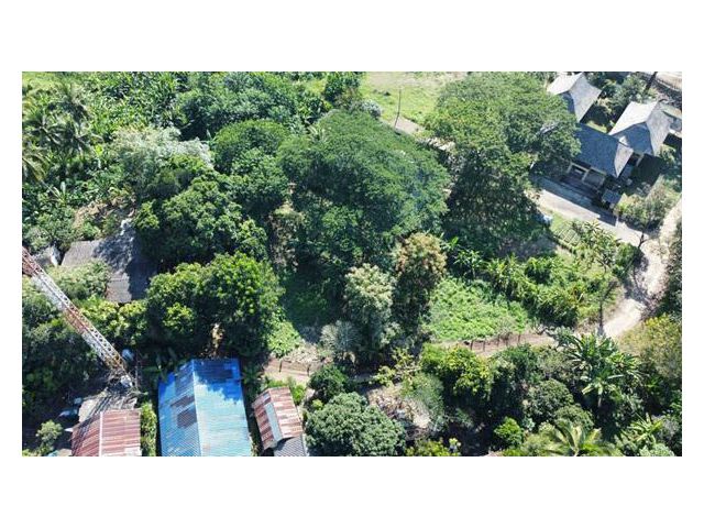 ขายที่ดินสวยลักษณะเป็นเนินขายสโลปมองเห็นวิวเขาสวยงาม มีต้นไม้ใหญ่ร่มรื่น อยู่ในชุมชนปลอดภัย ในพื้นที่ตำบลแม่แรม อำเภอแม่