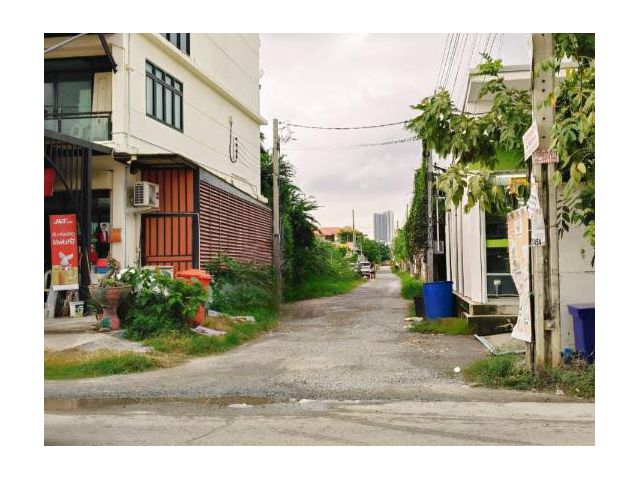 ที่ดินใกล้เมกาบางนาขายถูก