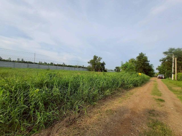 ขายถูกที่ดินใกล้สนามกอล์ฟอัลไพน์ 260 ตรว ติดถนนสาธารณะ ซ.คลองห้าตอ. 30 อ.คลองหลวง จ.ปทุมธานี