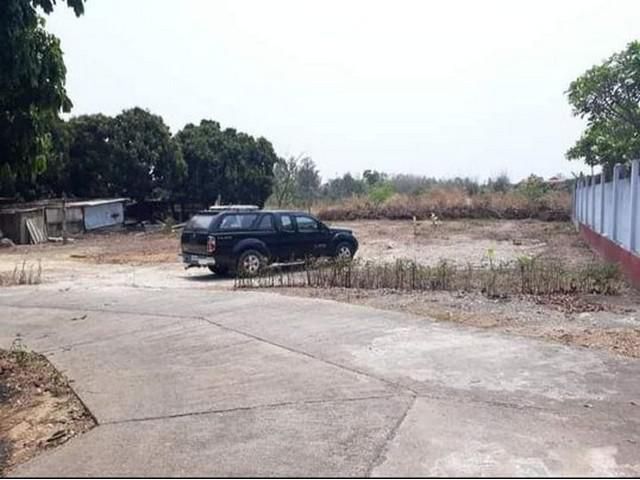 ขายที่ดิน 118ว. 5สบ. ฟรีโอน ต.สันมหาพน แม่แตง เชียงใหม่