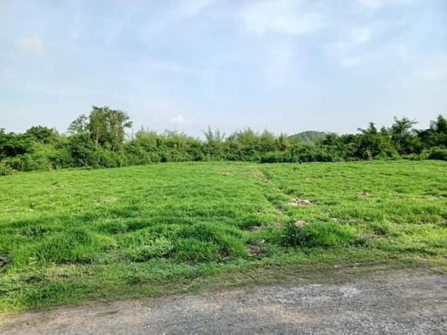 ที่ดินโฉนดครุฑแดง 2ไร่ 95ตารางวา ติดถนนและบึงใหญ่