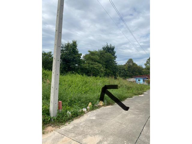 ขายที่ดินเปล่า2งาน อยู่ บางบุตร บ้านค่าย ระยอว