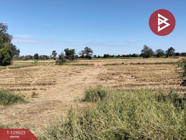 ขายที่ดิน เนื้อที่ 26 ไร่ 16 ตร.วา เสาไห้ สระบุรี