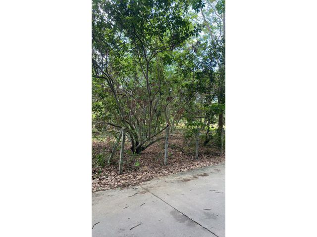 ขายที่ดิน1ไร่ อยู่ นาตาขวัญ  เมือง ระยอง