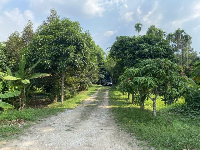 ขายสวนผสม1ไร่1งาน78ตรว อยู่ชากบก บ้านค่าย ระยอง