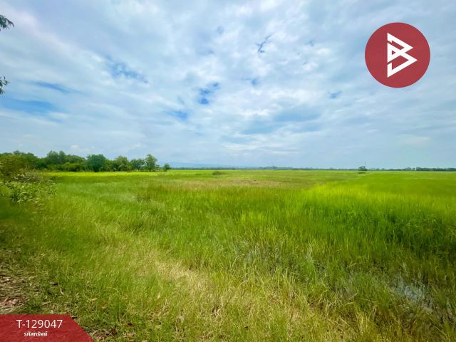 ขายด่วนที่ดิน เนื้อที่ 4 ไร่ 2 งาน ต.ไม้เค็ด เมืองปราจีนบุรี