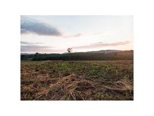 ที่ดินโฉนดใกล้ภูเรือ 12ไร่วิวสวย ไร่ละ260000 เหมาะกับบ้านพักตากอากาศมาก